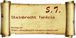 Steinbrecht Terézia névjegykártya